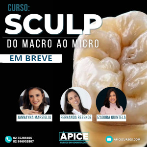 SCULP – Do macro ao micro