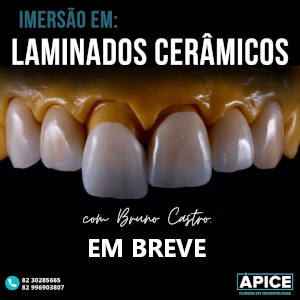 Imersão em Laminados Cerâmicos